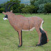 Wildcrete Roan Antelope